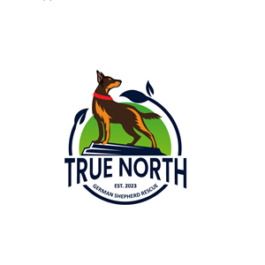 Logo Design by Anekaa for this project | Design: #32577925