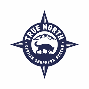 Logo Design by Ashani Bhattacharya for this project | Design: #32587713