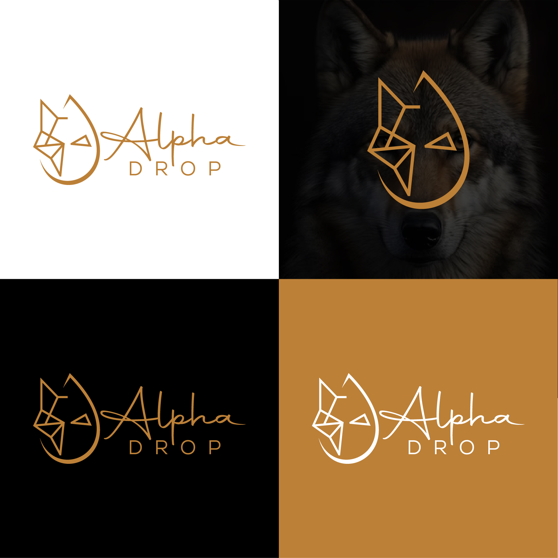 Logo Design by debdesign for this project | Design #32609904