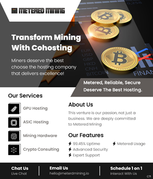 Diseño de Flyer por pb para Metered Mining | Diseño: #32632701