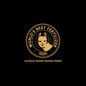 Design de Logo par Jerwin Intac