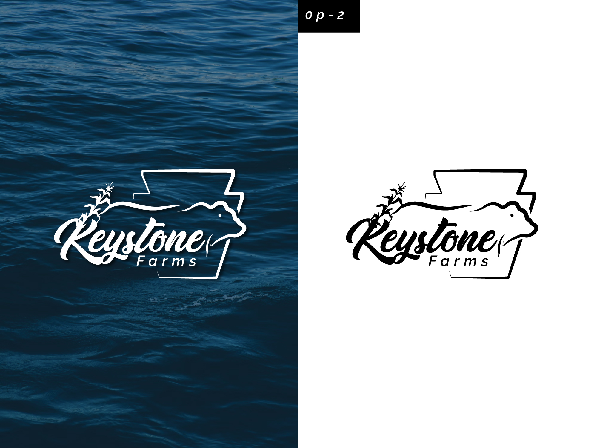 Design de Logo par RS_Design pour Keystone Farms | Design #32619156