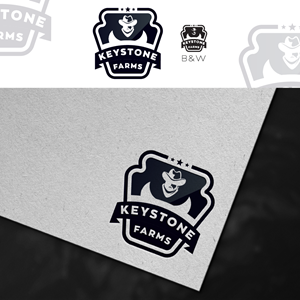 Logo Design by alus