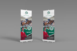 Design Publicitaire par GraphicsGuru pour ce projet | Design : #32610760