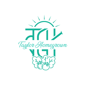 Logo Design by Nukhta Design