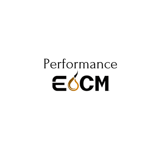 Logo Design by Sumana for Performance ECM | Design #32623504