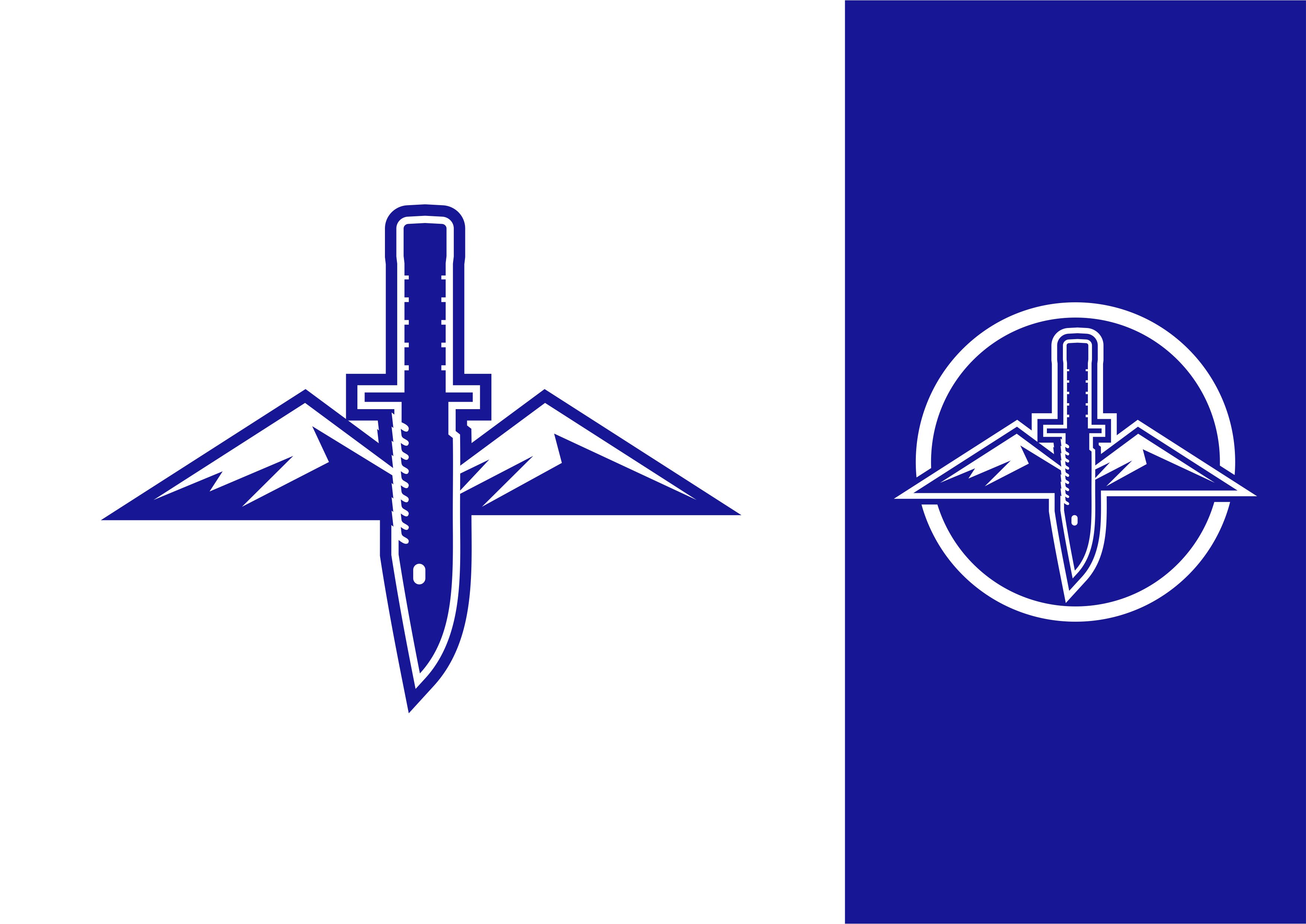 Logo-Design von ammar_ed für Northern Lights Armory | Design #32615970