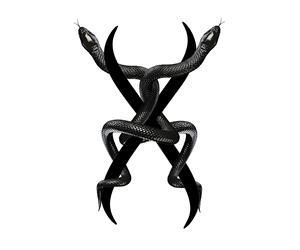 Snake Graphic for Tees and Hoodies **PLEASE READ DESCRIPTION**