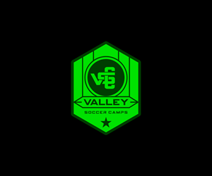 Logo-Design von Ansh Design für dieses Projekt | Design: #32640100
