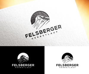 Design de Logo par Dot Design 3 pour Marc Iten Websolutions | Design : #32637208