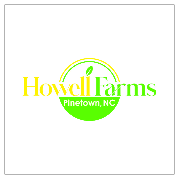 Design de Logo par Dipali_sain pour ce projet | Design #32647898