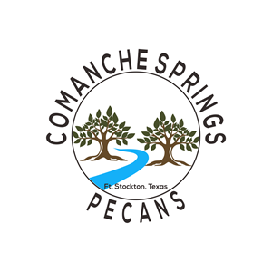 Logo Design by TammZzzz