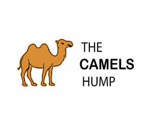 Logo Design by visiv for this project | Design: #32685073