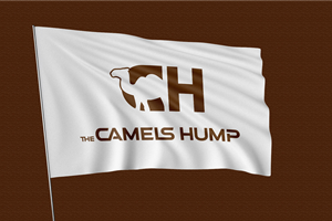 Logo-Design von Abdul 20 für dieses Projekt | Design: #32643531