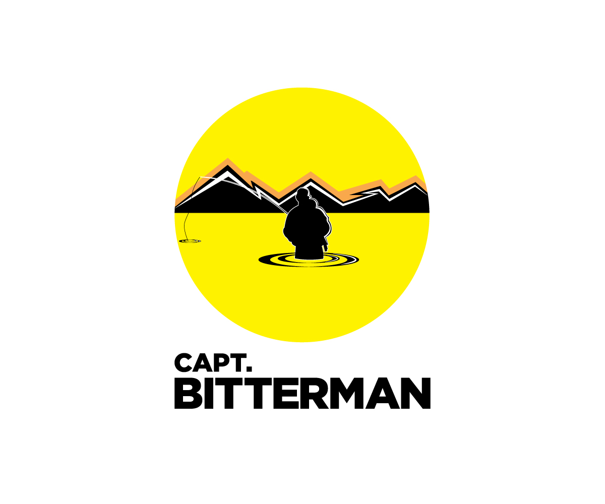 Diseño de Logo por Ansh Design para Film Solutions LLC | Diseño #32646524