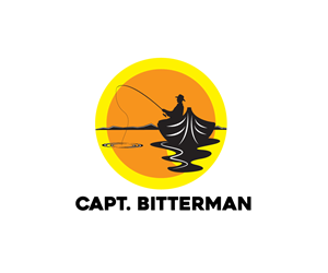 Logo-Design von Ansh Design für Film Solutions LLC | Design: #32646525