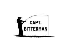 Logo-Design von BNdesigner für Film Solutions LLC | Design: #32664094