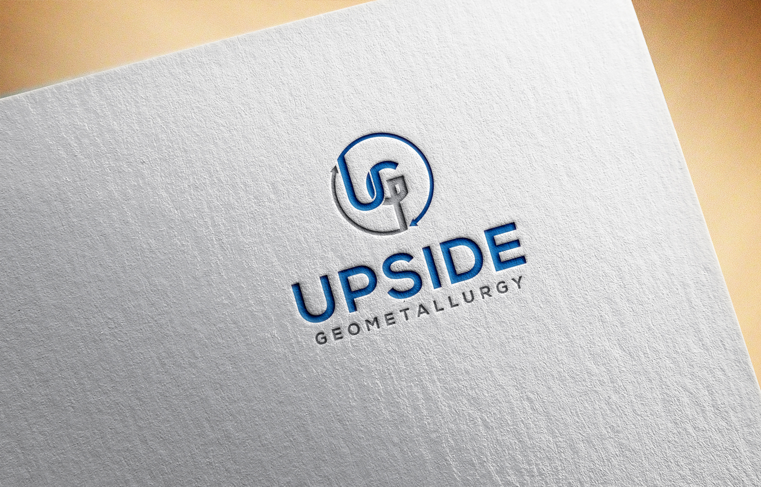 Diseño de Logo por VectorForge para este proyecto | Diseño #32658889
