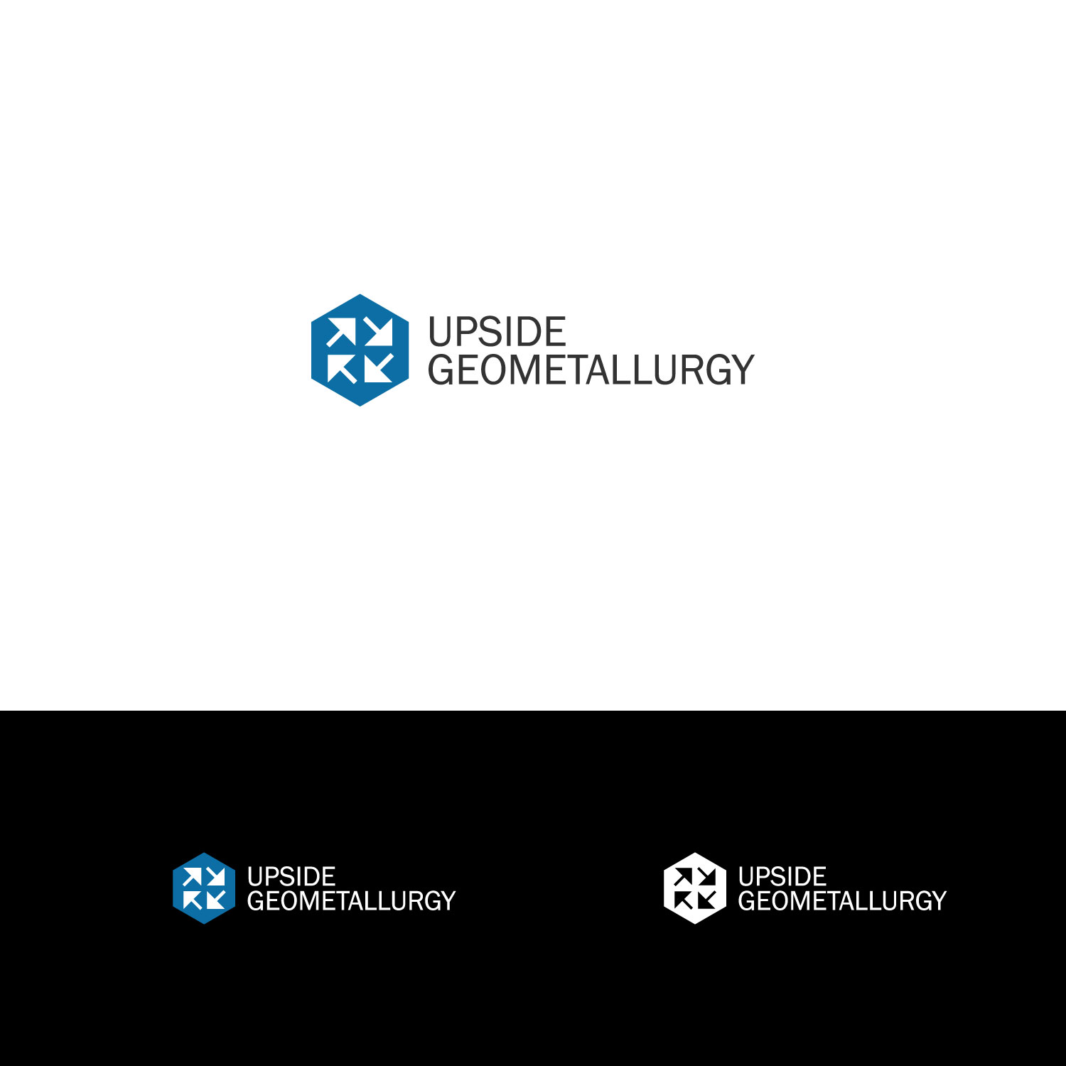 Diseño de Logo por Onerio para este proyecto | Diseño #32665833