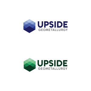 Logo Design by dskyvbc for this project | Design #32647257