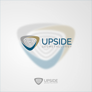 Logo Design by AyoebRoa