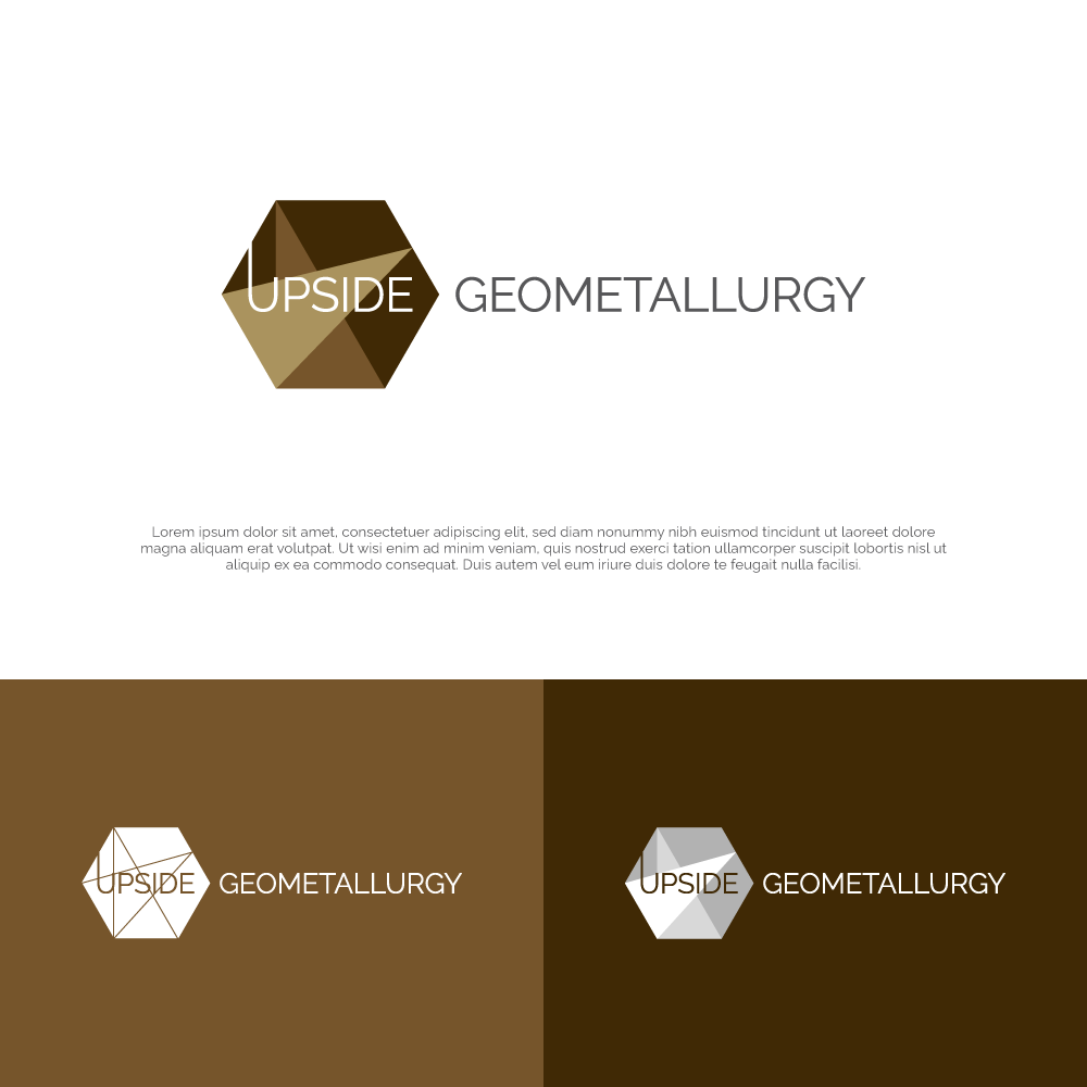 Logo-Design von Fandiart für dieses Projekt | Design #32688672