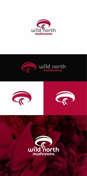 Logo Design by 1206studio for this project | Design #32648429