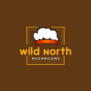 Logo Design by ainee4