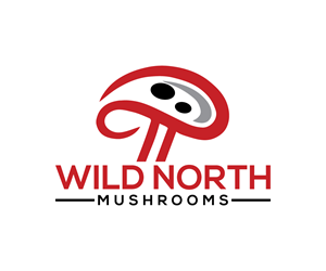 Logo Design by Nova_Create for this project | Design: #32650633