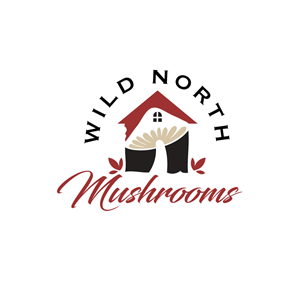 Logo Design by Krold IT Solutions for this project | Design: #32654079