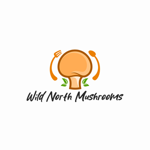 Logo Design by Aswardesain 