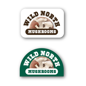 Logo Design by Alefya