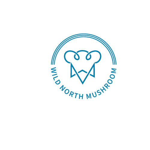 Logo Design by Wisdom12 for this project | Design #32690324