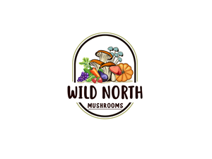 Logo Design by nouarbiti for this project | Design #32656061