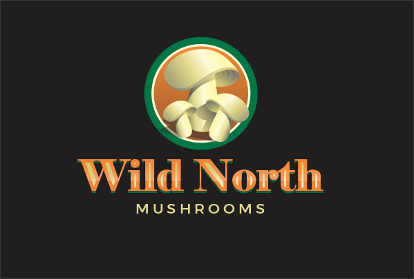 Logo Design by juanjoseolivieri for this project | Design #32708535