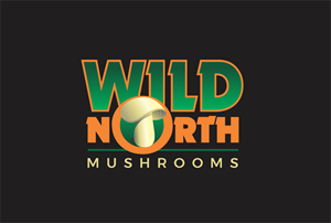 Logo Design by juanjoseolivieri for this project | Design: #32712368