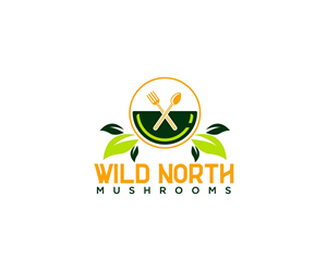 Logo Design by Ansh Design for this project | Design: #32652368