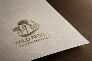 Logo Design by Signify for this project | Design: #32651438