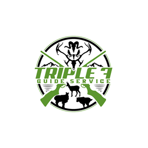 Logo Design by Twig Creation