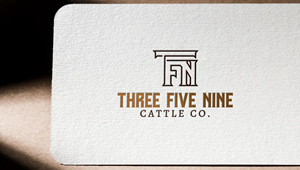Logo Design by Design_Duo for this project | Design #32668266