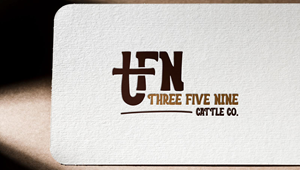 Logo-Design von Design_Duo für dieses Projekt | Design: #32668267
