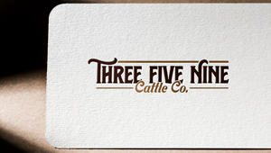 Logo-Design von Design_Duo für dieses Projekt | Design: #32668270