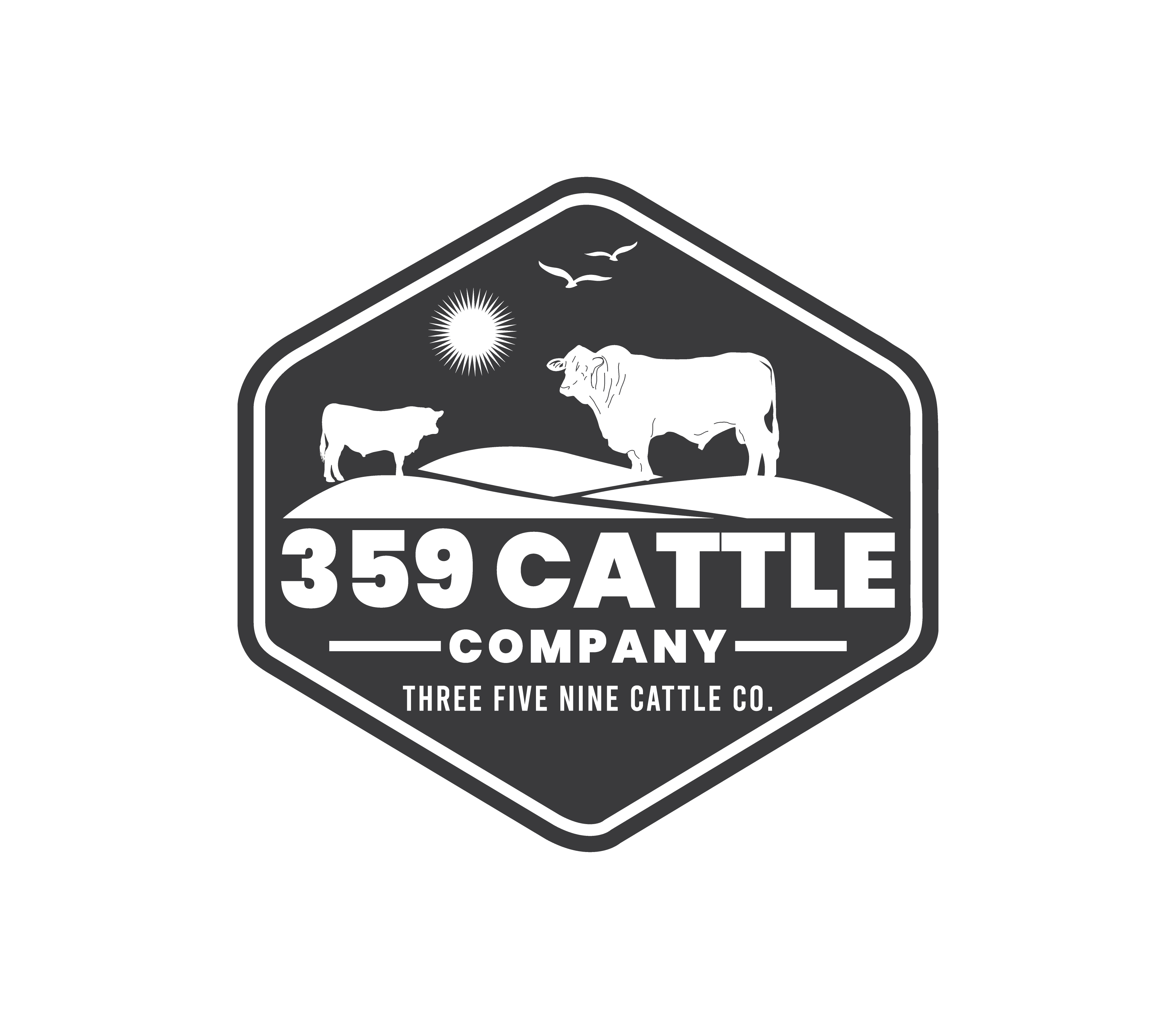 Logo Design by Nova_Create for this project | Design #32659510