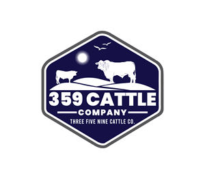 Logo Design by Nova_Create for this project | Design: #32659511