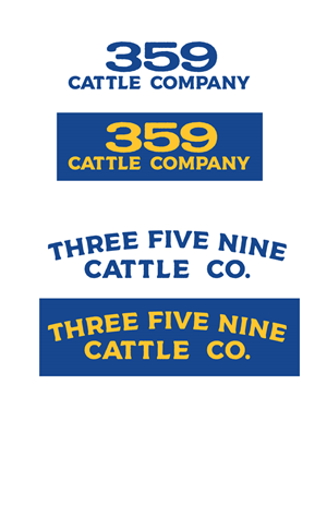 Logo Design by Mike Carroll