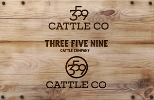 Logo Design by Solarex Corporation for this project | Design: #32671958