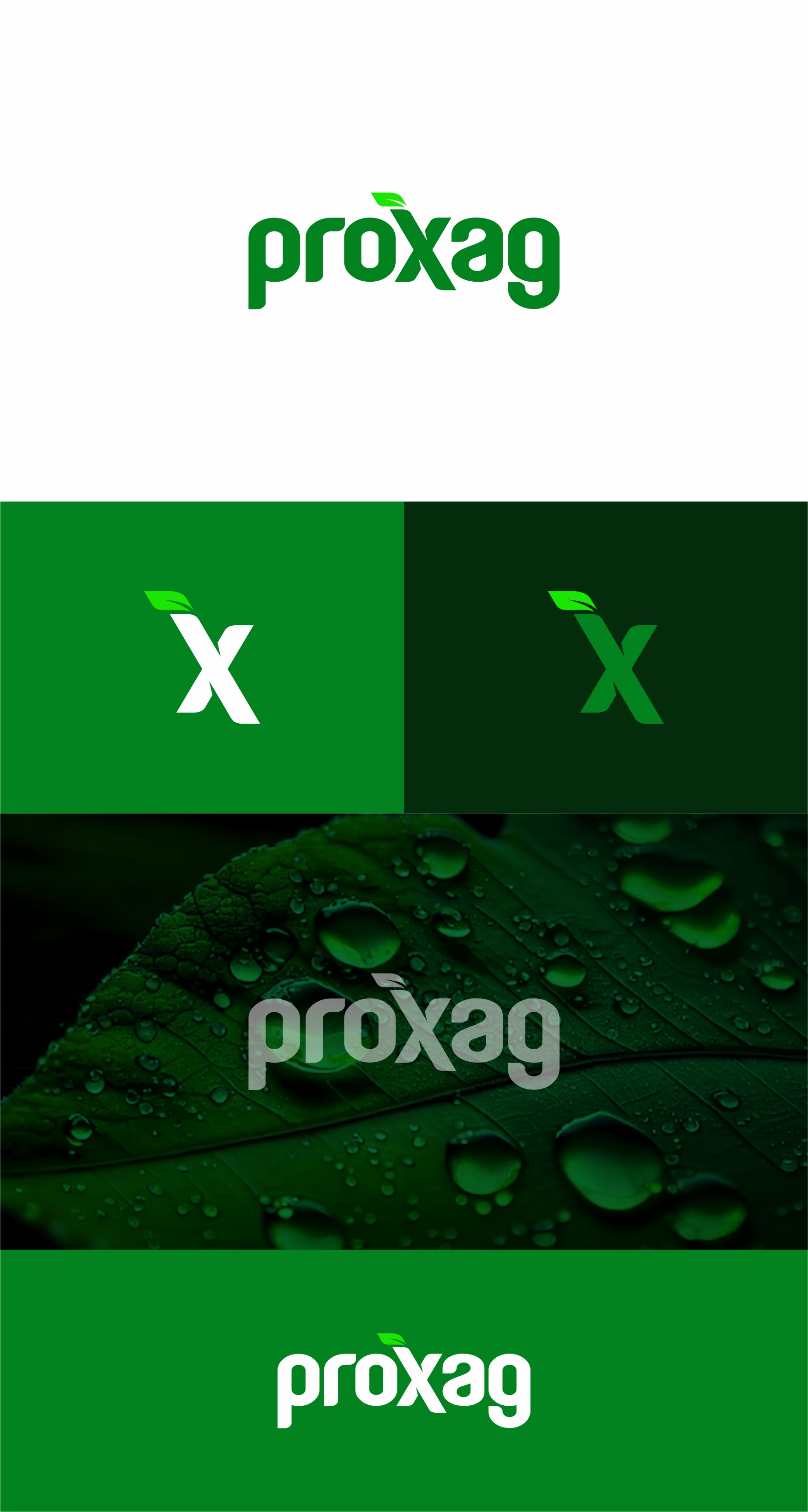 Logo Design by 1206studio for this project | Design #32660427