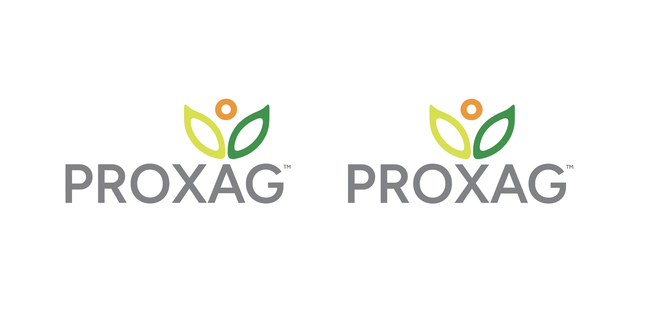 Design de Logo par GLDesigns pour ce projet | Design #32675606