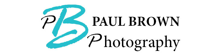 Logo Design by Mudboots for this project | Design #761068