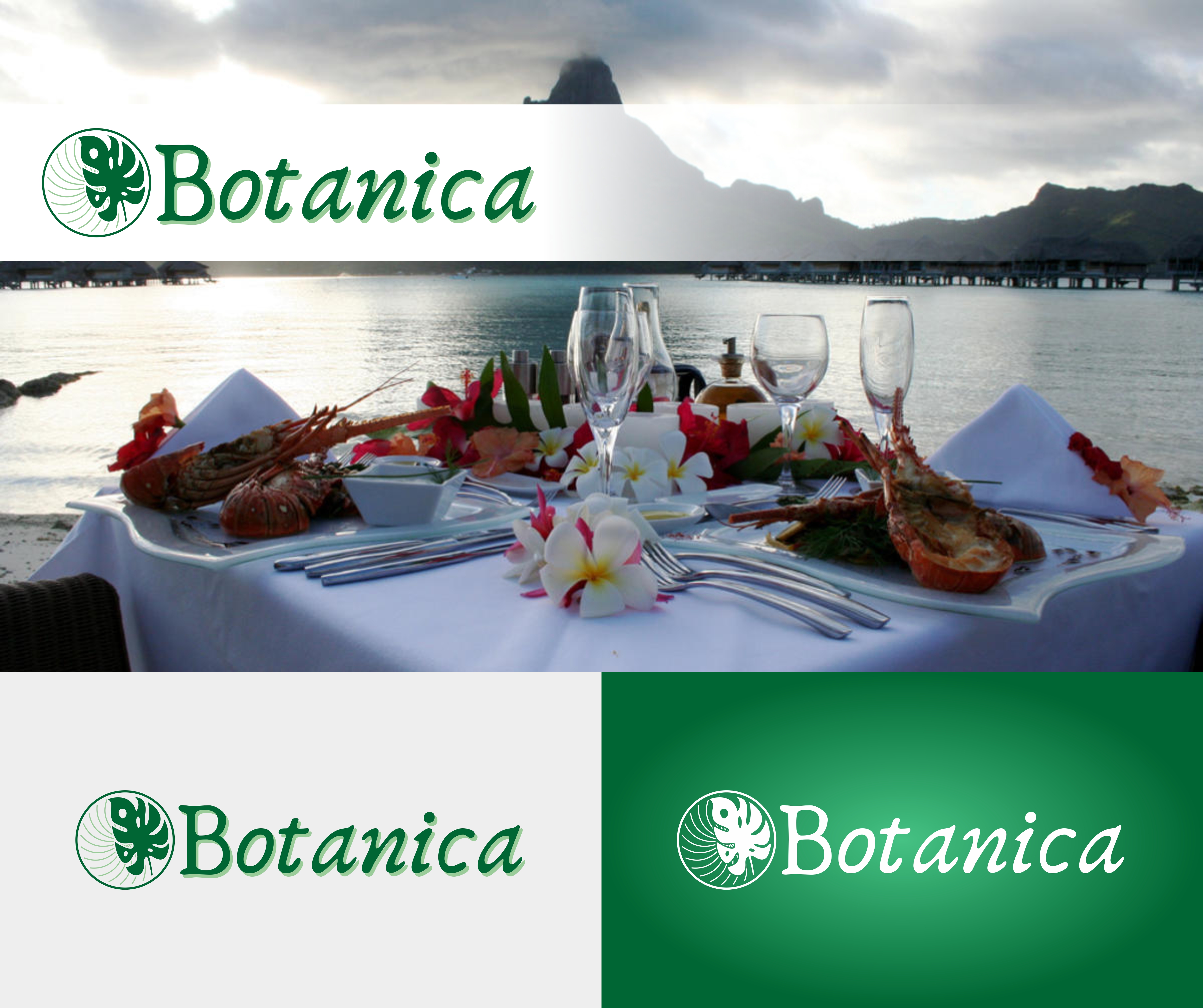 Logo Design by CariCuan24 for this project | Design #32695079